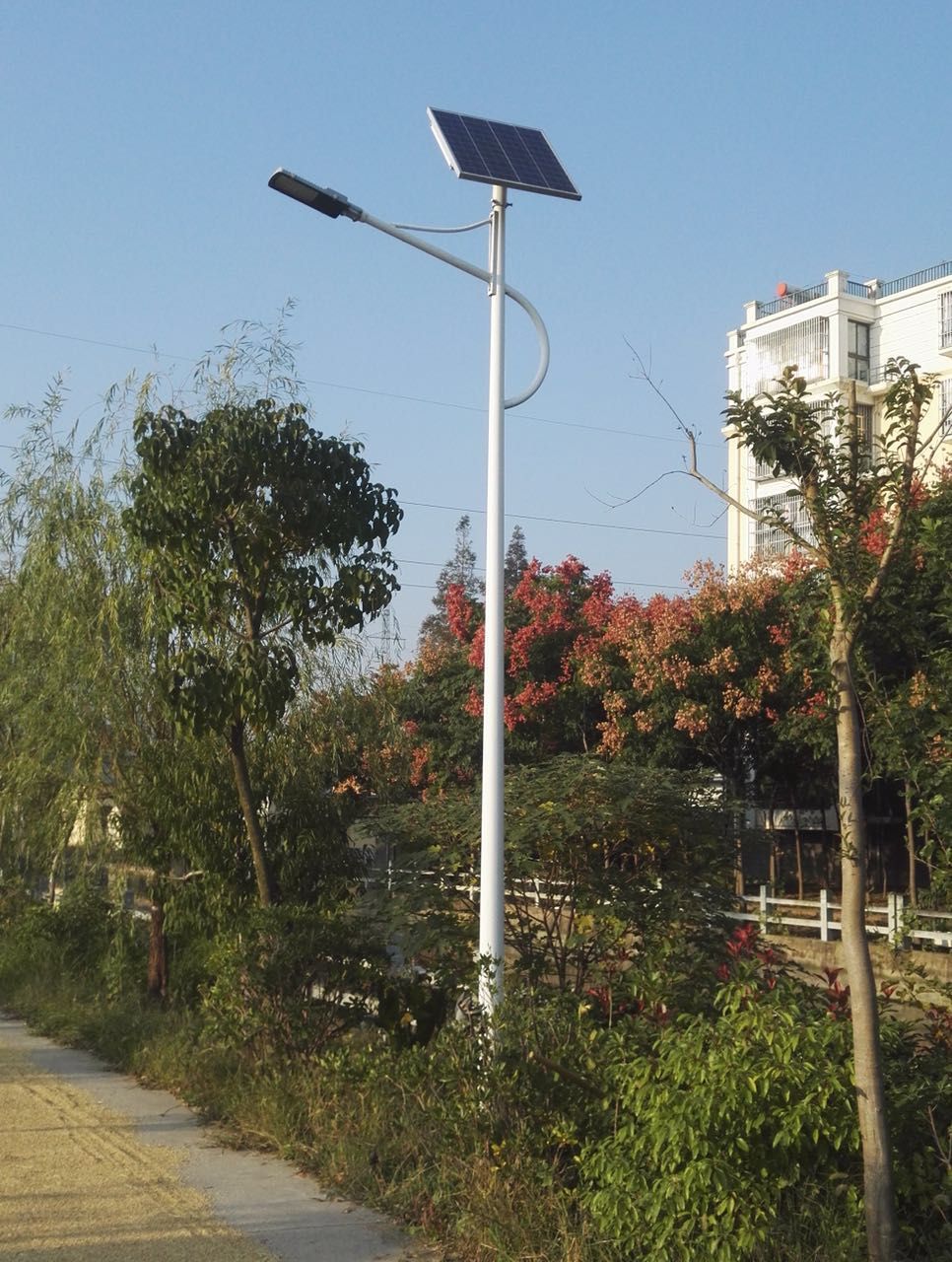 新农村改造太阳能路灯